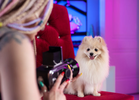 cute pomeranian dog is photographed by a sexy girl on an old retro cameraの写真素材