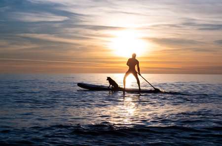 sporty guy swims with a dog on a board in the sea under the beautiful sunset sunの写真素材