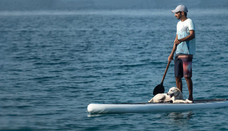 a guy on a sup board with a paddle with a dog stands on the sea in summer, Stand Up Paddle