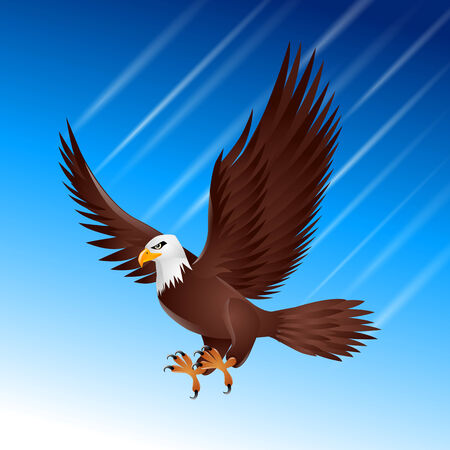bird flapping eagle wing feather sky flying brownのイラスト素材