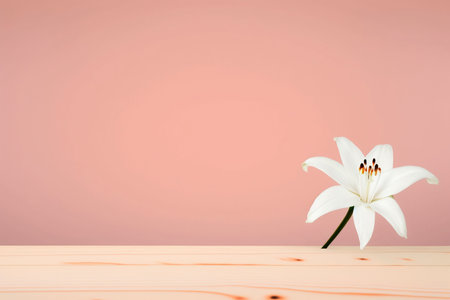 White lily flower on wooden table over pink background with copy spaceの素材