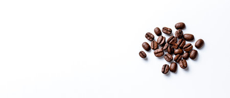 A coffee beans on a white background with copy space.の素材