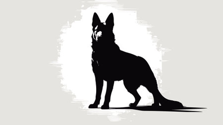 Silhouette of a German shepherd dog.の素材