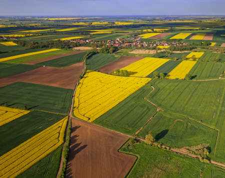 oilseed rape beautiful agriculture sky poland rapeseed yellow landscape nofilter flower flowersの写真素材