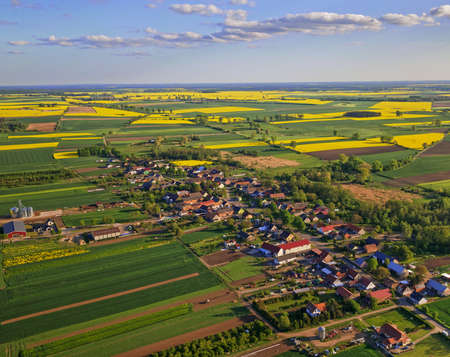 oilseed rape beautiful agriculture sky poland rapeseed yellow landscape nofilter flower flowersの写真素材