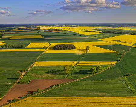 oilseed rape beautiful agriculture sky poland rapeseed yellow landscape nofilter flower flowersの写真素材