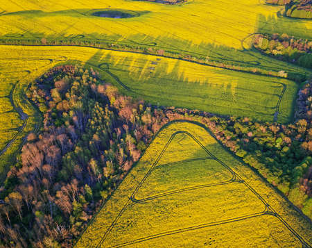 oilseed rape beautiful agriculture sky poland rapeseed yellow landscape nofilter flower flowersの写真素材