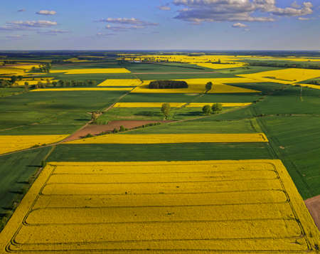 oilseed rape beautiful agriculture sky poland rapeseed yellow landscape nofilter flower flowersの写真素材