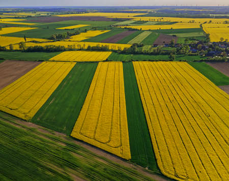 Polish agral landscapeの写真素材