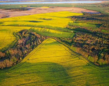 Polish agral landscapeの写真素材