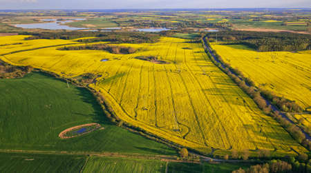 Polish agral landscapeの写真素材