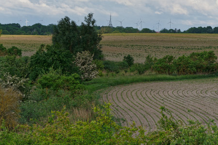 Rural landscape with agricultural fields and windmills in the backgroundの写真素材