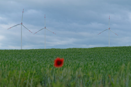 Wind turbines in a wheat field with red poppies in the foregroundの写真素材
