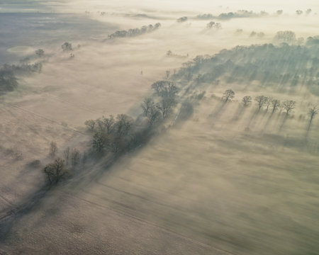 Aerial view of foggy meadow with trees in the morningの写真素材