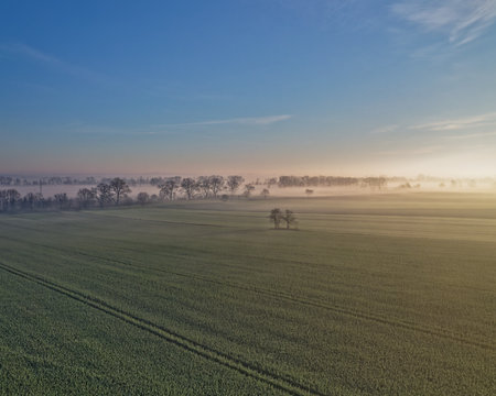 Aerial view of foggy meadow with trees in the morningの写真素材