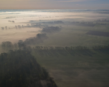 Aerial view of foggy meadow with trees and fields.の写真素材