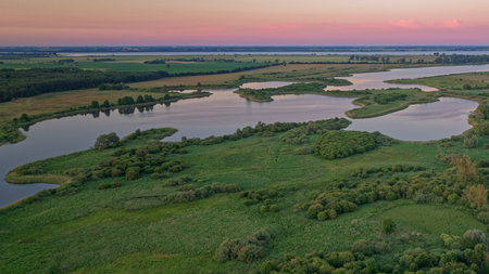 Aerial view of the river and forest at sunset. View from above.の写真素材