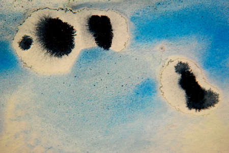 blue and black paint Abstract art background texture watercolor on paper Modern Fluid Art Painting Alcohol Ink Mix creative design of posters, cards, invitations, wallpapers.の写真素材