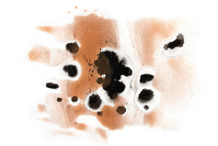 splash brown paint Abstract art background texture watercolor on paper Modern Fluid Art Painting Alcohol Ink Mix creative design of posters, cards, invitations, wallpapers.の写真素材