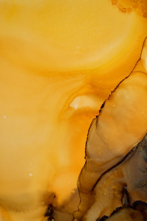 splash yellow and black alcohol ink banner. Watercolor ink Natural luxury abstract fluid art painting background alcohol ink techniqueの写真素材