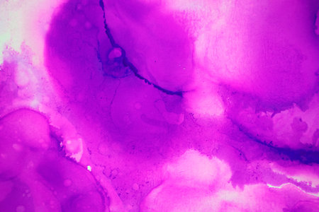 splash magenta alcohol ink banner. Watercolor ink Natural luxury abstract fluid art painting background alcohol ink techniqueの写真素材