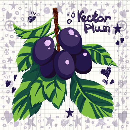 Vector fresh plums with leavesのイラスト素材