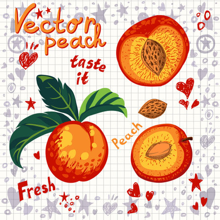 Vector fresh peach with leaves