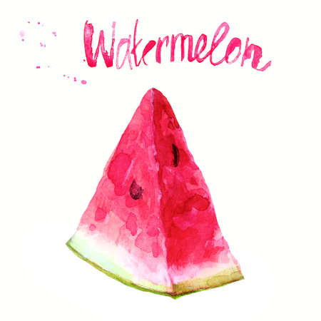 Watercolor illustration of watermelon. Hand drawn illustration.の写真素材