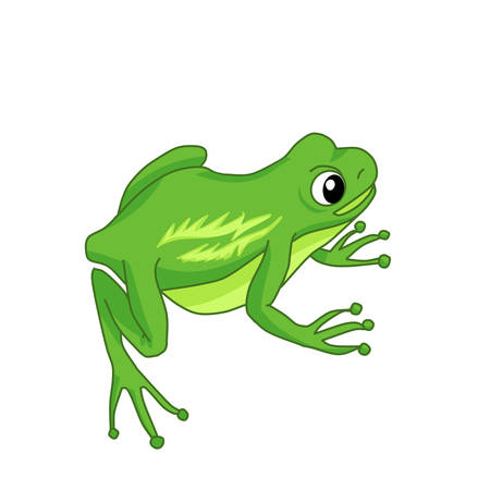 A sitting green frog on a white background. Isolated vector illustration in a cartoon style. Poster, t-shirt design print.のイラスト素材