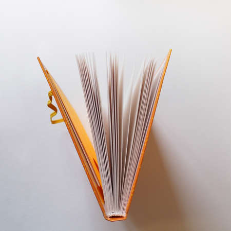 Open book pages closeup view. Knowledge and education conceptの写真素材