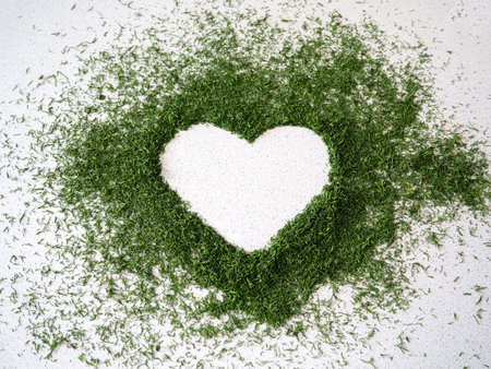 Dried dill seasoning in heart shape frame on white backgroundの写真素材