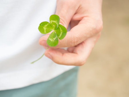 Green our leaf clover in a man's hand. Summertime concept. Closeup with space for text