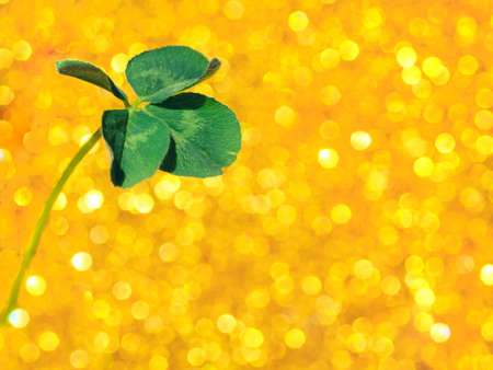 Fresh green lucky four leaf clover on yellow sparkling bokeh background. Design for your ad, poster, banner. Beautiful st patrick's day conceptの写真素材
