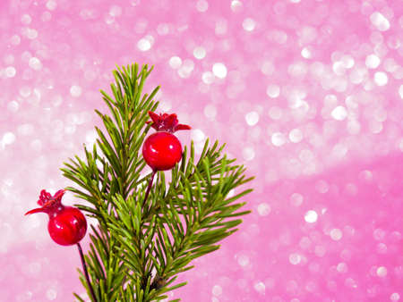 Christmas decor with fir and berries in a vase on pink bokeh background. Christmas time decorations concept. Beautiful new year backdrop. Party conceptの写真素材