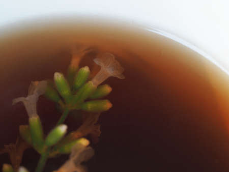 Close up image of mug with blooming lavender sprig in black tea.の写真素材