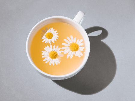 Herbal tea with fresh chamomile flowers. Cup of medicinal chamomile tea on a gray background. Top...