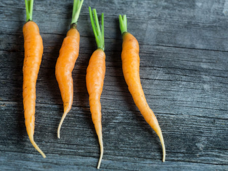 Orange small young carrots on rustic weathered wooden table. Harvest of Organic vegetables .
