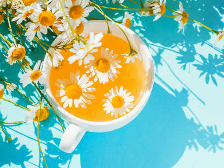 Herbal tea with fresh chamomile flowers. Cup of medicinal chamomile tea on a bright turquoise background. Top viewの写真素材