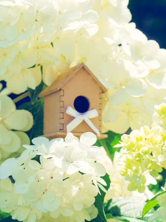 Wooden toy house in the white hydrangea flowers against the green background. Spring season concept, of family, cozy, loving home and care.の写真素材