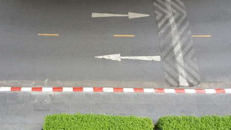 Road and footpath with light green bush.の写真素材