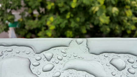 Raindrops on the aluminum architrave isolated with blur tree.の写真素材