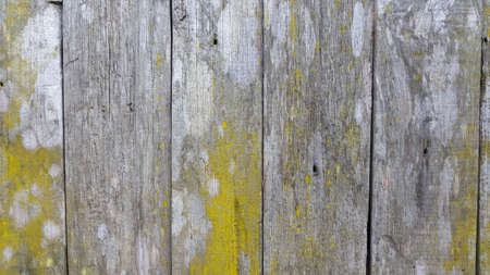 Wooden wall texture.の写真素材