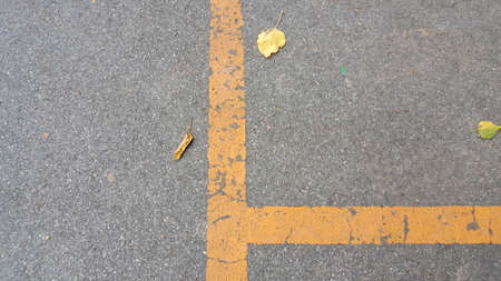 Yellow line on the road.の写真素材