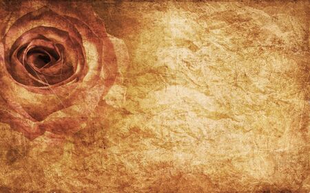 Textured rose on old paper grunge backgroundの写真素材