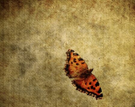Vintage paper with colorful butterfly background, textureの写真素材