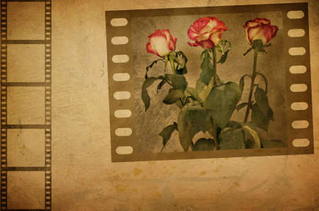 Grunge rose background. Photographic image manipulated in Photoshopの写真素材