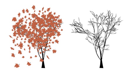 Illustration of autumn tree with beautiful flying leaves.のイラスト素材