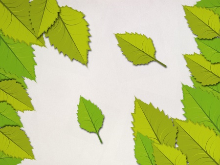 Illustration of colorful leaves frame on white background.の写真素材