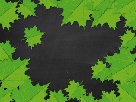 Illustration of green maple leaves on blackboard background.