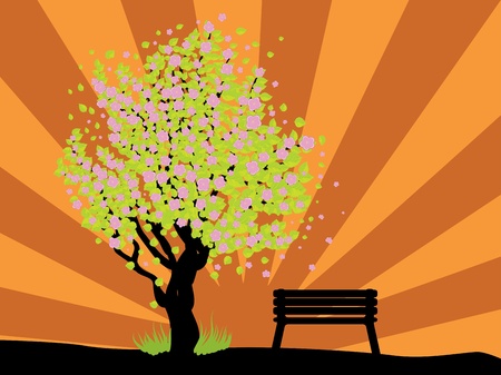 Illustration of cherry with pink blossom, sakura tree and bench.のイラスト素材